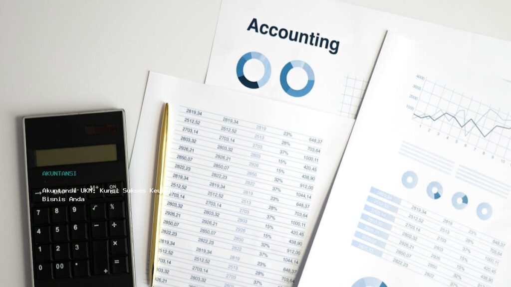 Akuntansi Ukm Kunci Sukses Keuangan Bisnis Anda