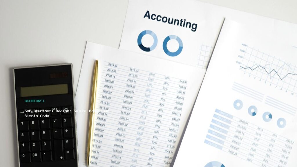 Sap Akuntansi Adalah  Solusi Pembukuan Bisnis Anda