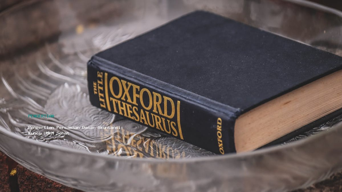 Pengertian Persamaan Dasar Akuntansi Kunci Umkm Sehat