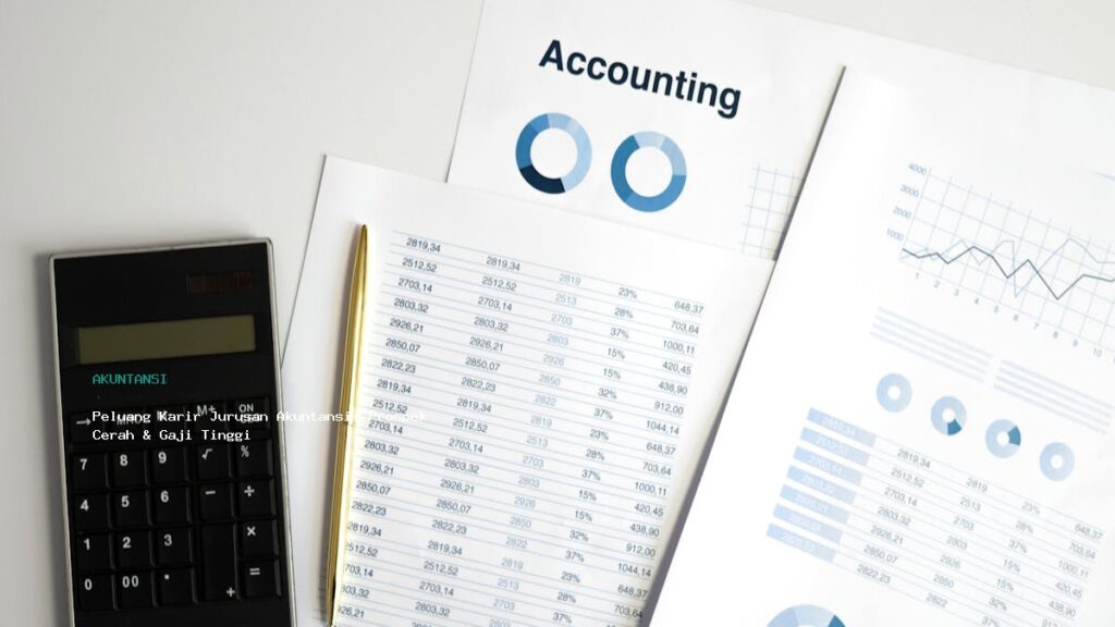 Peluang Karir Jurusan Akuntansi  Prospek Cerah  Amp  Gaji Tinggi