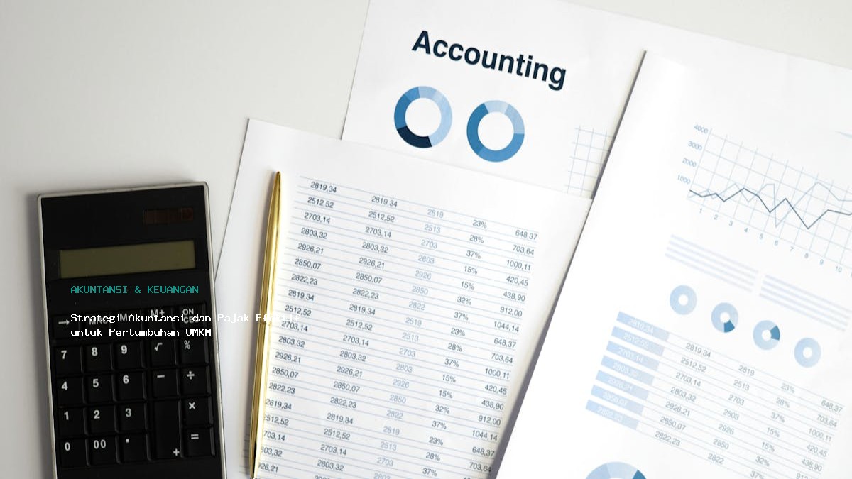 Strategi Akuntansi Dan Pajak Efektif Untuk Pertumbuhan Umkm
